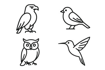 Fototapeta premium Outline illustrations of eagle, sparrow, owl, and hummingbird in minimalist style