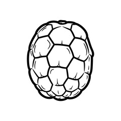 Naklejka premium A simple black and white line drawing of a raspberry fruit.