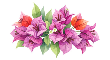 Fototapeta premium Bougainvillea flower arrangement isolated on transparent background in watercolor style
