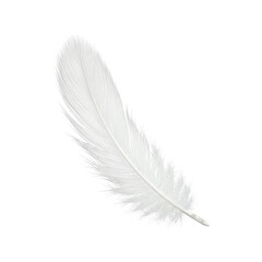 Delicate white feather gracefully floating symbolizing lightness and purity