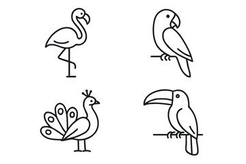 Obraz premium Line art illustrations of flamingo, parrot, peacock, and toucan birds
