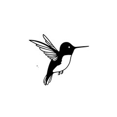 Obraz premium Hummingbird. Hummingbird simple black and white line art vector logo