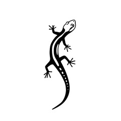 Naklejka premium Skink. Skink simple black and white line art vector logo