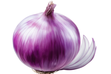 Fresh red onion bulb with papery skin and a few loose layers closeup view on transparent background