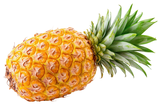 Ripe pineapple with vibrant green leaves for tropical fruit designs on transparent background
