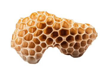Close up of a natural honeycomb structure showing its hexagonal cells against a on transparent background