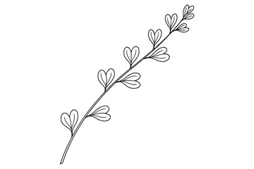 Vector art of hand drawn branch with leaves, botanical illustration of a plant element