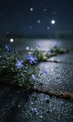 Close up view of blue flowers on a dark textured surface with bokeh lights
