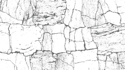 Black and White Cracked Surface Texture Abstract Grunge Distressed for Creative Design Black cracks covering white surface creating distressed vectors design on transparent background.