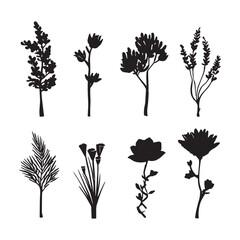 Elegant botanical silhouettes showcasing diverse flower and plant types in black