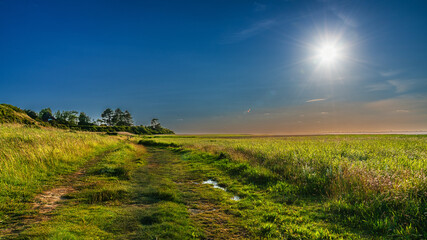 Sommer auf Sylt am Morsumer Kliff