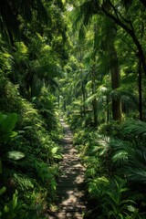 Wooden path through lush green forest