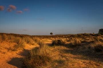 Sommer auf Sylt am Morsumer Kliff
