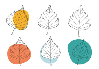 Several birch leaves with abstract colorful shapes overlaid.