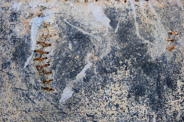stone wall background