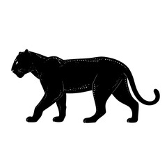 Obraz premium Powerful black panther prowls exuding grace and strength a stunning wildlife symbol of nature's beauty