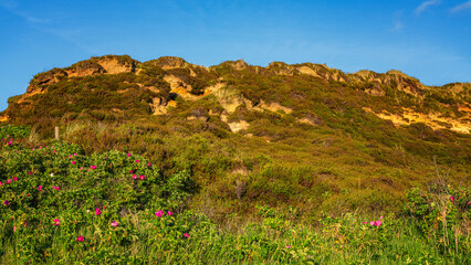 Sommer auf Sylt am Morsumer Kliff