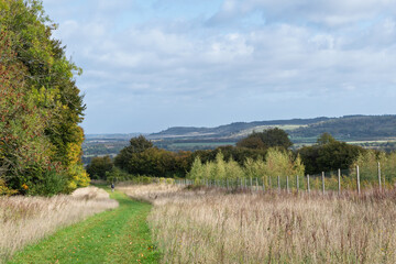 Chiltern Landscape