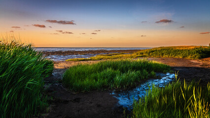 Sommer auf Sylt am Morsumer Kliff