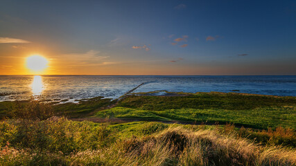 Sommer auf Sylt am Morsumer Kliff