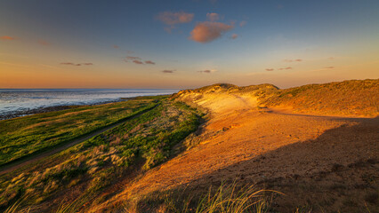 Sommer auf Sylt am Morsumer Kliff