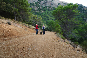 Fototapeta premium Hiking Couple With Dog On Scenic Forest Trail Through Mountain Terrain