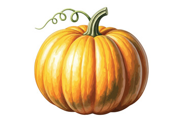 Illustration of a ripe orange pumpkin with a curly stem, symbol of autumn