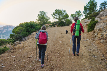 Two Hikers On A Rugged Mountain Trail With Backpacks And Trekking Poles At Sunset, Capturing Adventure, Nature, And Fitness On A Scenic Hike