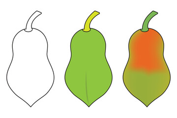 Growth stages of a papaya fruit illustration showing ripening process