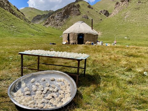 Kurut - a hard, salty, and tangy ball of dried, fermented dairy - laid on plate to be sun-dried. Kel Suu, Kyrgyzstan.