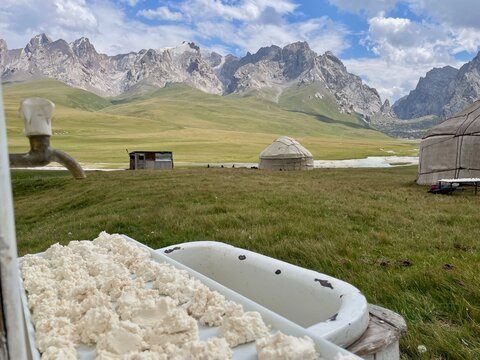 Kurut - a hard, salty, and tangy ball of dried, fermented dairy - laid on plate to be sun-dried. Kel Suu, Kyrgyzstan.