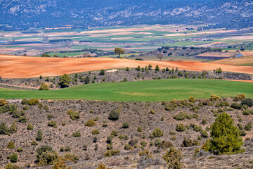 Agricultural industry. Farms in productive fields. Spain	