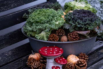 Autumnal Arrangement Kale Pine Cones and a Mushroom Ornament