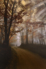 Fototapeta premium A painting of a forest with a man walking on a dirt road. The painting has a mood of tranquility and peacefulness