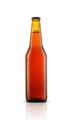 glass brown bottle of beer