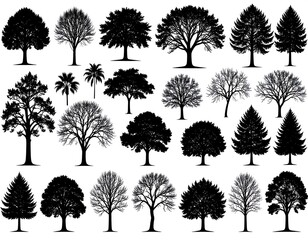 Black silhouette trees