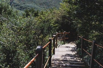 Hallasan National Park, Jeju island, South Korea, vibrant view of trail with a wooden ladder path stairs, trekking and climbing, stairway to Halla mountain summit, hiking in Korea, Jeju-do, sunny day