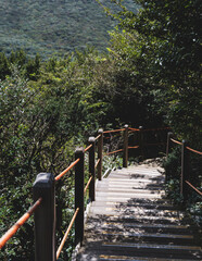 Hallasan National Park, Jeju island, South Korea, vibrant view of trail with a wooden ladder path stairs, trekking and climbing, stairway to Halla mountain summit, hiking in Korea, Jeju-do, sunny day
