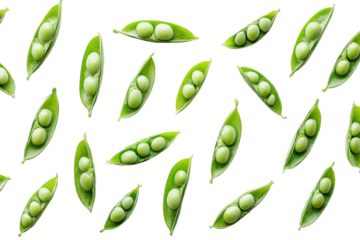 Fresh green peas in pods scattered create a vibrant and healthy food pattern on transparent background