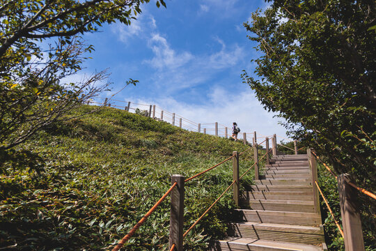 Hallasan National Park, Jeju island, South Korea, vibrant view of trail with a wooden ladder path stairs, trekking and climbing, stairway to Halla mountain summit, hiking in Korea, Jeju-do, sunny day