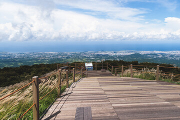 Obraz premium Hallasan National Park, Jeju island, South Korea, vibrant view of trail with a wooden ladder path stairs, trekking and climbing, stairway to Halla mountain summit, hiking in Korea, Jeju-do, sunny day