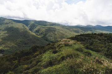 Fototapeta premium Hallasan National Park, Jeju island, South Korea, vibrant view of trail with a wooden ladder path stairs, trekking and climbing, stairway to Halla mountain summit, hiking in Korea, Jeju-do, sunny day