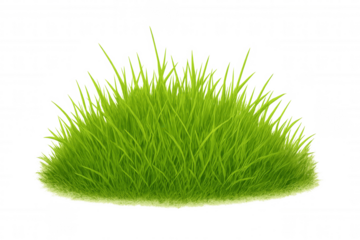 Lush green grass tuft growing, forming a natural ground cover, perfect element for design and landscaping concepts