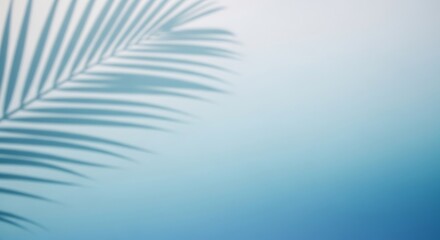 Soft blue background with delicate palm leaf shadow overlay creating a serene and tropical ambiance