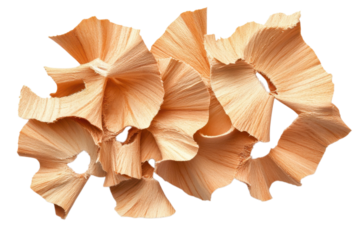 Abstract peach paper flower arrangement with ruffled edges and circular cutouts on transparent background