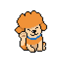 Pixel art a cute poodle dog vector in retro style