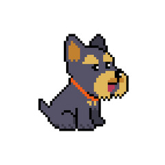 Pixel art a cute yorkshire terrier dog vector in retro style