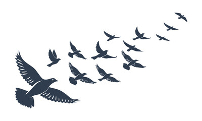 Flying Pigeons Silhouette Set – Multiple Flight Poses, Minimal Flat Vector, easily editable
