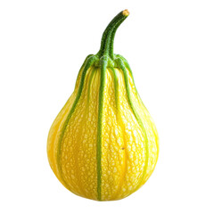 Zucchini isolate on transparent background