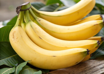 Fresh Organic Bananas for Sale | Ripe Yellow Bananas at Best Market Price | Healthy Fruit Choice